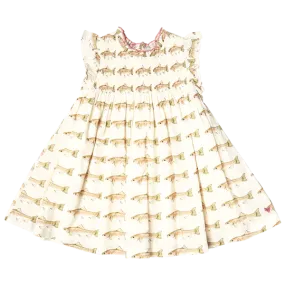 Pink Chicken Girls Stevie Dress - Rainbow Trout